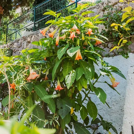 Casa vacanze Casa Silvana, - Relaxando En El