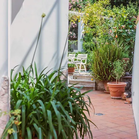 Casa Silvana, - Relaxando En El Holiday home Capri