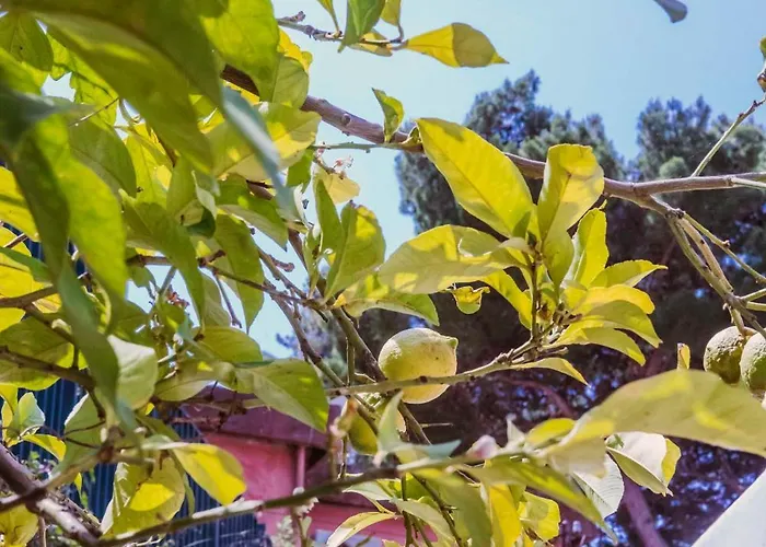 Σπίτι διακοπών Casa Silvana, - Relaxando En El *