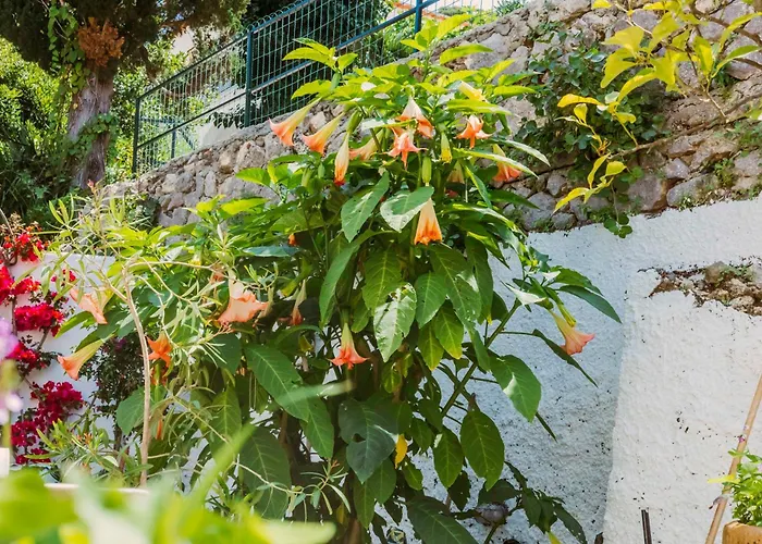 Holiday home Casa Silvana, - Relaxando En El